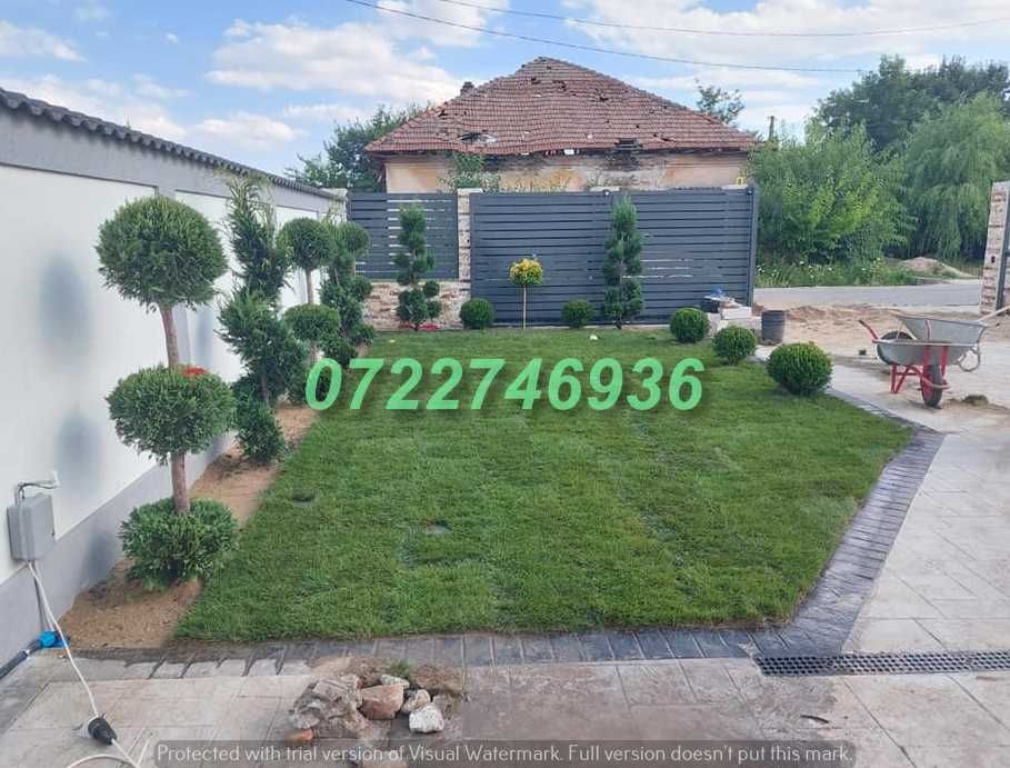 Gazon Verde Intens pentru Amenajări Profesionale