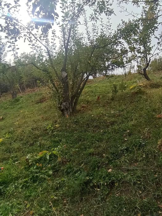 Дача 8 соток Кок ля сай