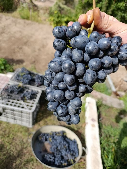 Продам дачу по 7