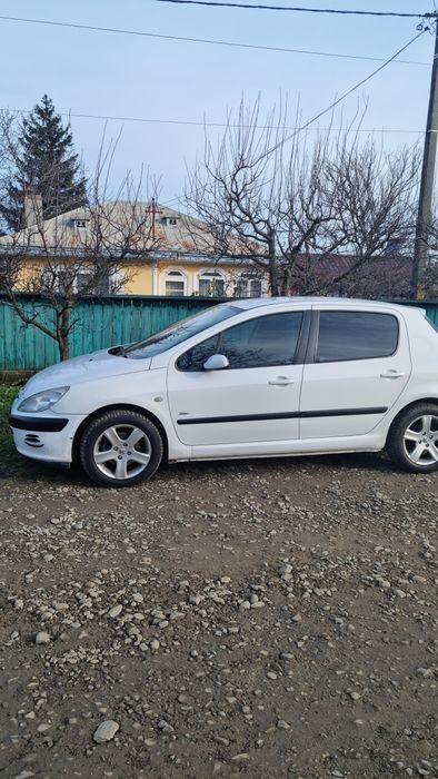 Vand Peugeot 307