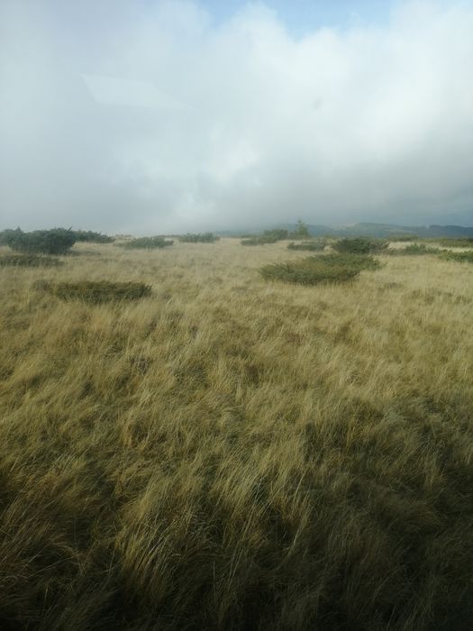 Curățări pasune, terenuri nelucrate