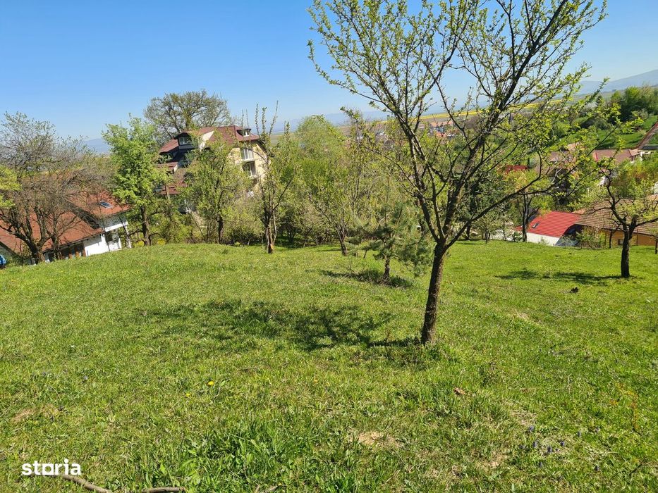 Teren deosebit - 1500 mp, Poiana Angelescu, Str. Livezii