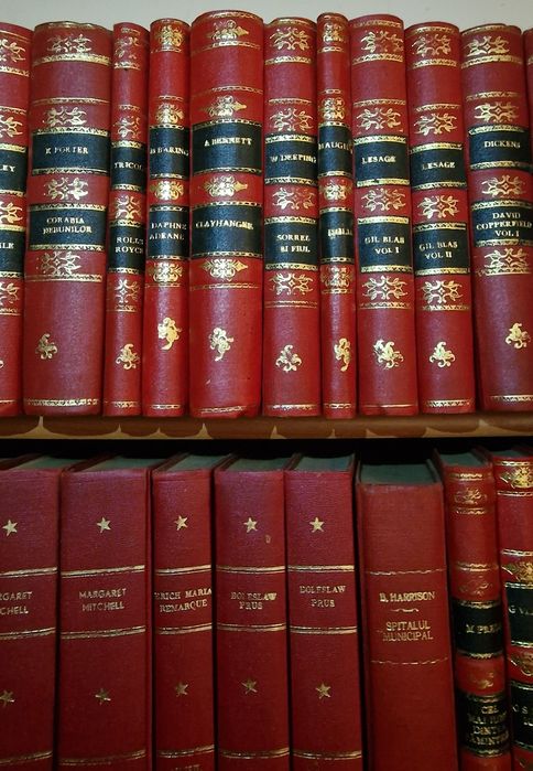 Lot carti cartonate ediție speciala