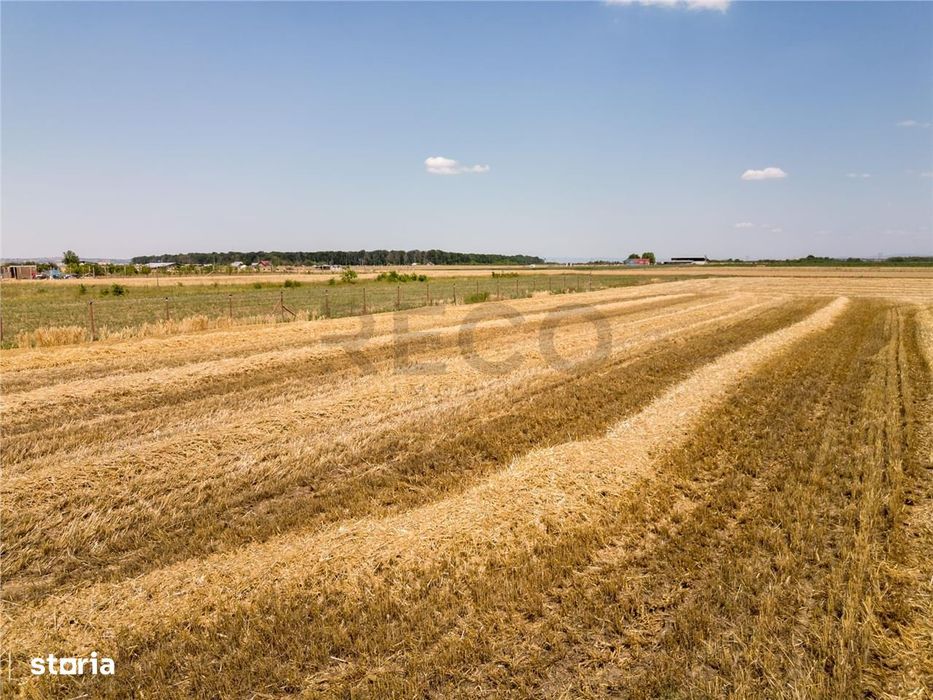 RECO Teren industrial in Nojorid la doar 6km de Oradea