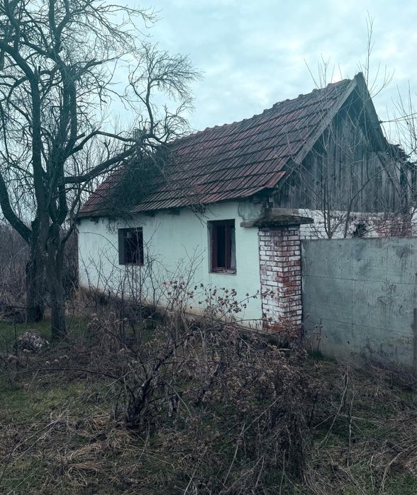Casa de vanzare in sat Rapsig jud Arad cu 1400 m2 pamant