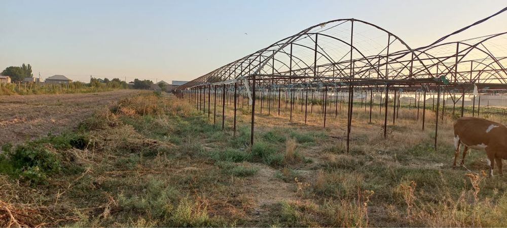 Продается срочно Дом с теплицей