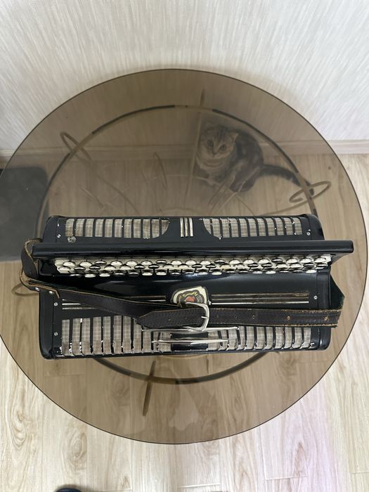 Баян немецский идеальный