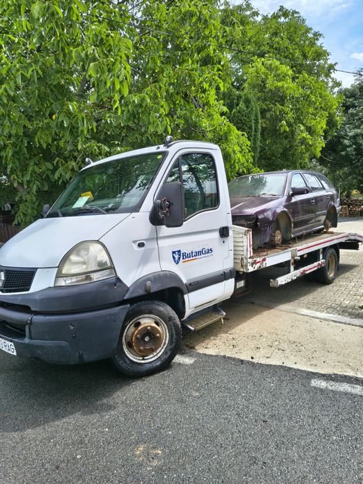 Renault mascott