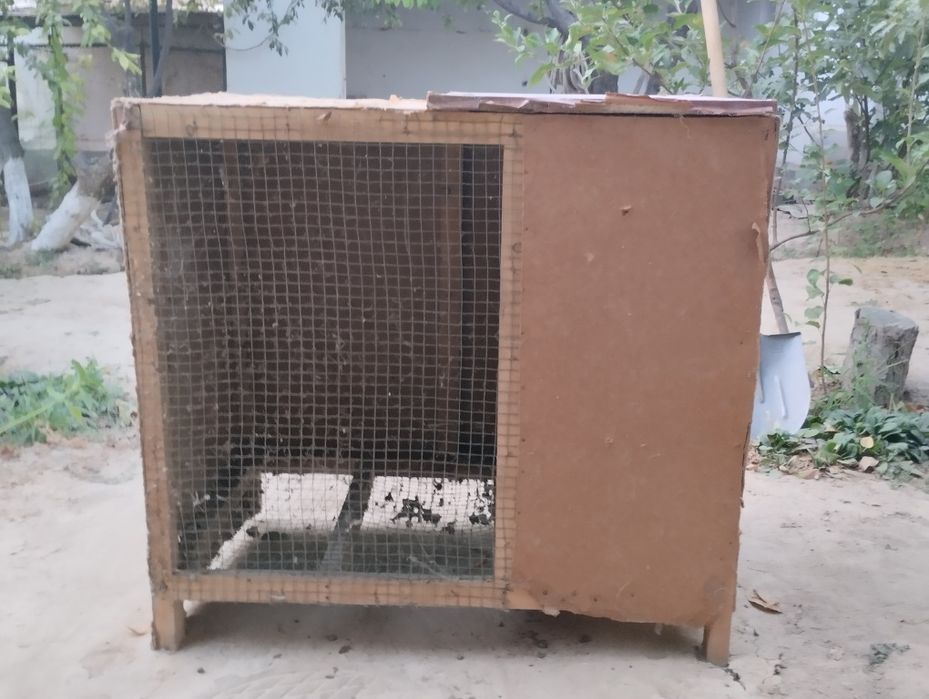 Quyon qafas / quyon ini