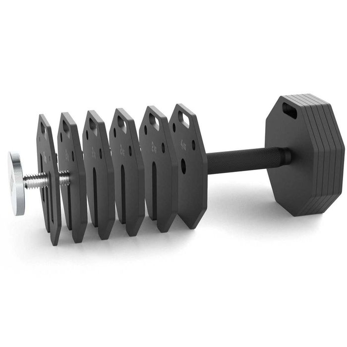 Регулируеми Дъмбели ATX® Octa Dumbbells – 2 х 24 кг, Чифт Гири