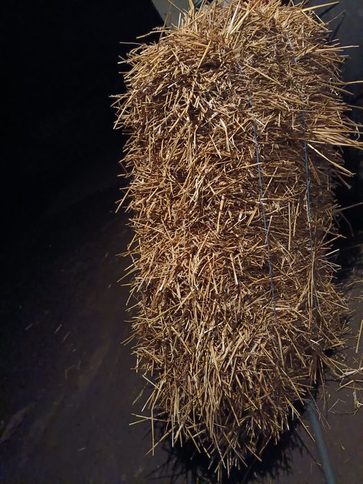 Vând baloți de paie,neplouati