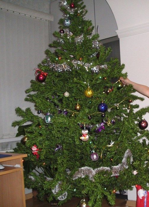 Ёлка  новогодняя