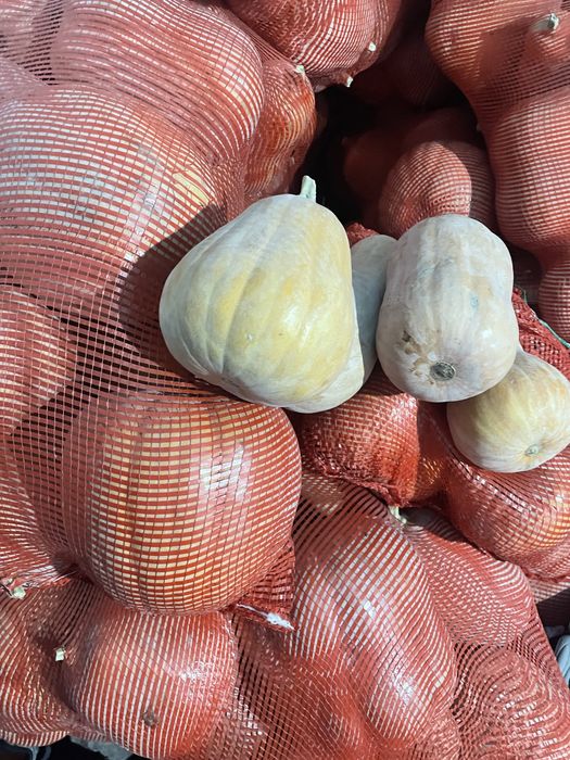 Тыква японка вся желтая в мешках ,есть доставка в любой район алматы ,