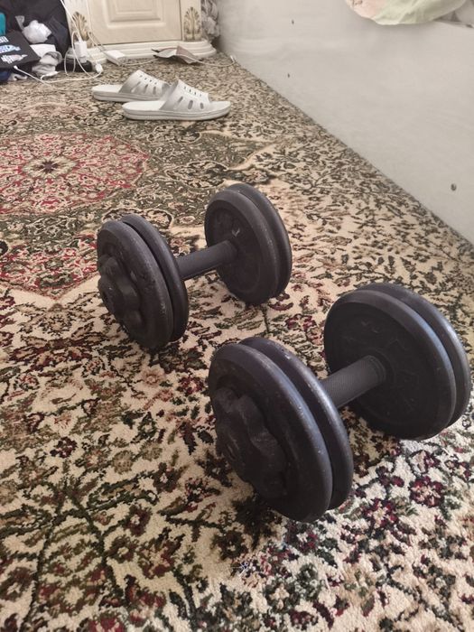Гантел 12 кг ли 2 та