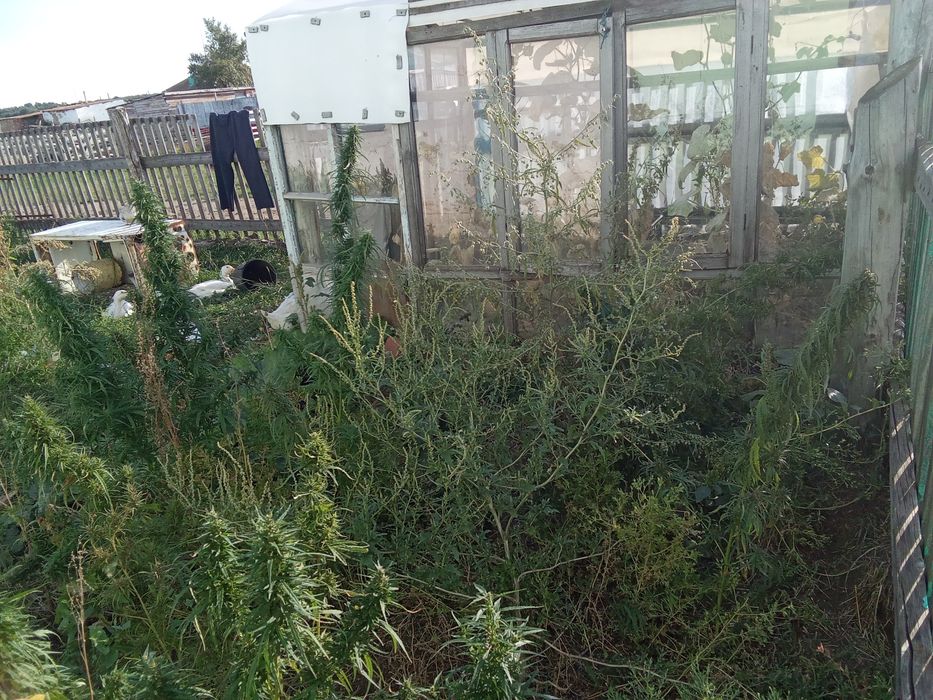 Продам срочна дом в село жанаталап