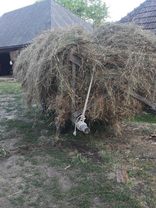 Fân pentru animale la iarna