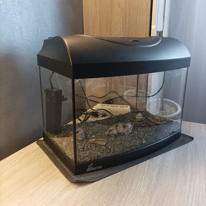 Vând acvariu 20L