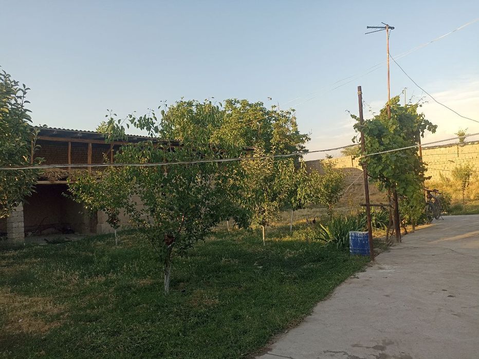 Dala hovli uchatska narxida