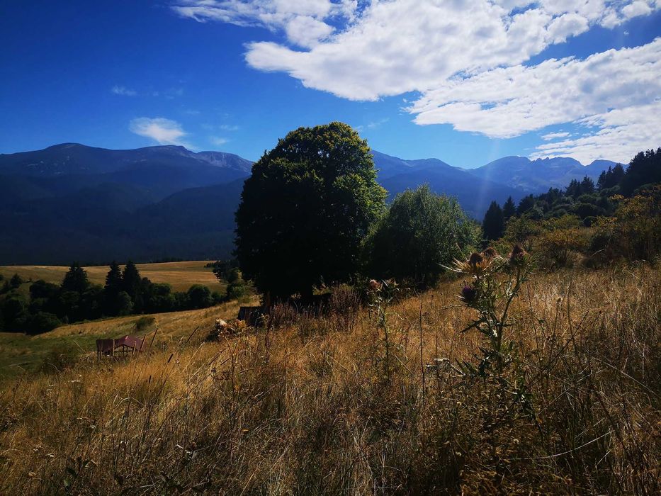 Земя в планински район - село Говедарци