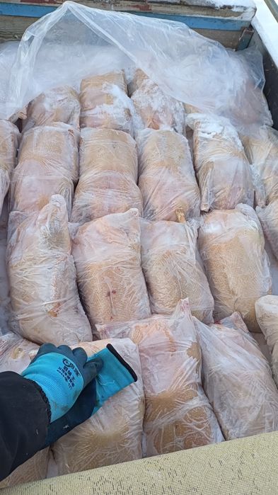 Мясо домашних Гусь