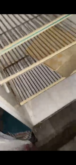 Холодильник   Бирюса