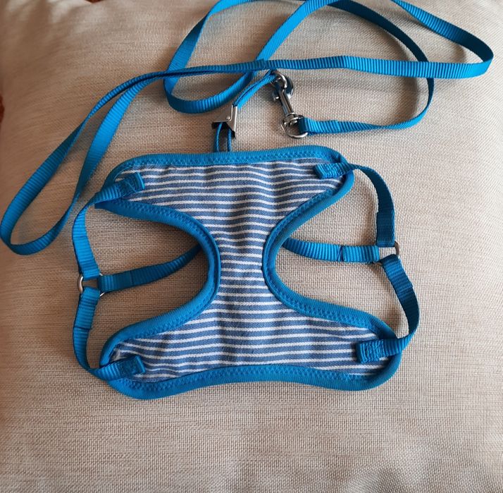 Шлейка для котов "Пежон"