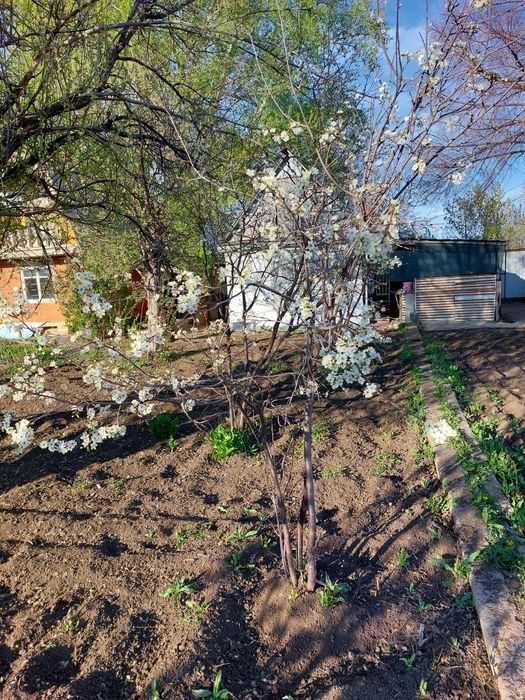 Продам в Акжар-2