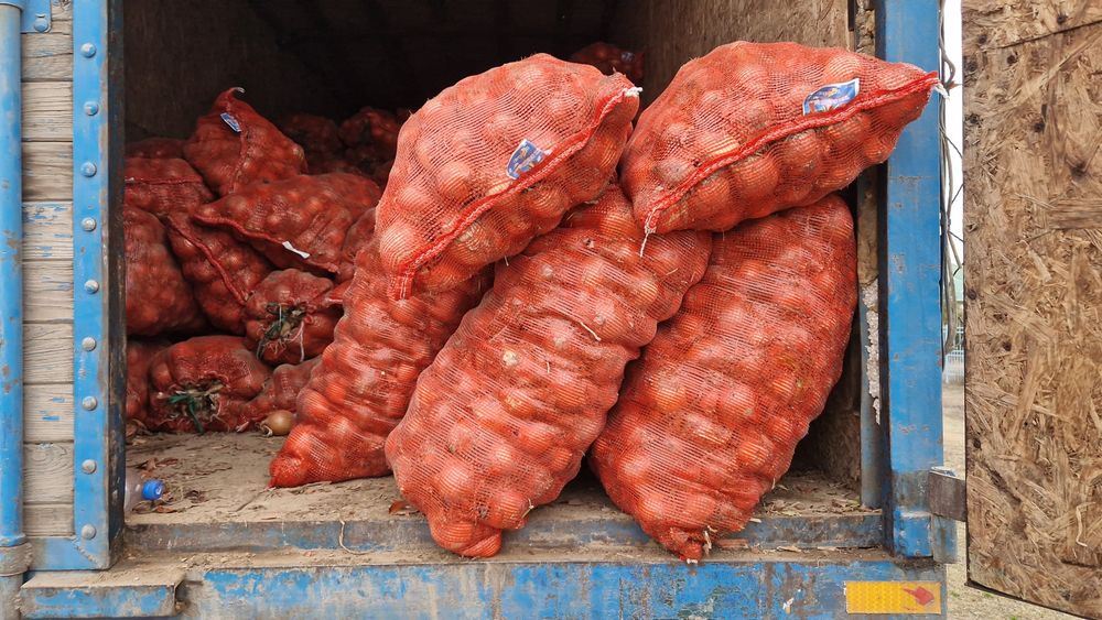 Пияз лук срочно сату керек