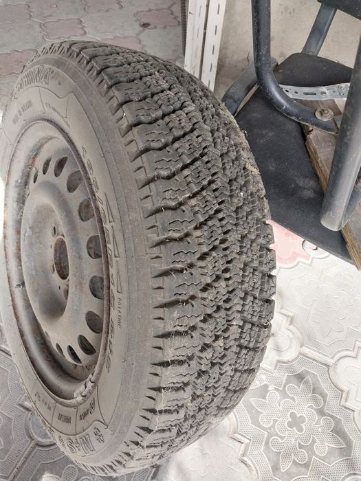 BELSHINA М+S зимная.