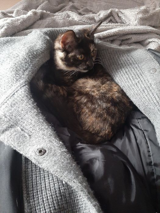 Девочка в заботливые руки