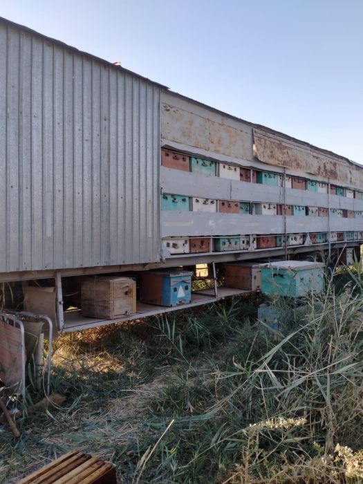 Прицеп пчеловодный