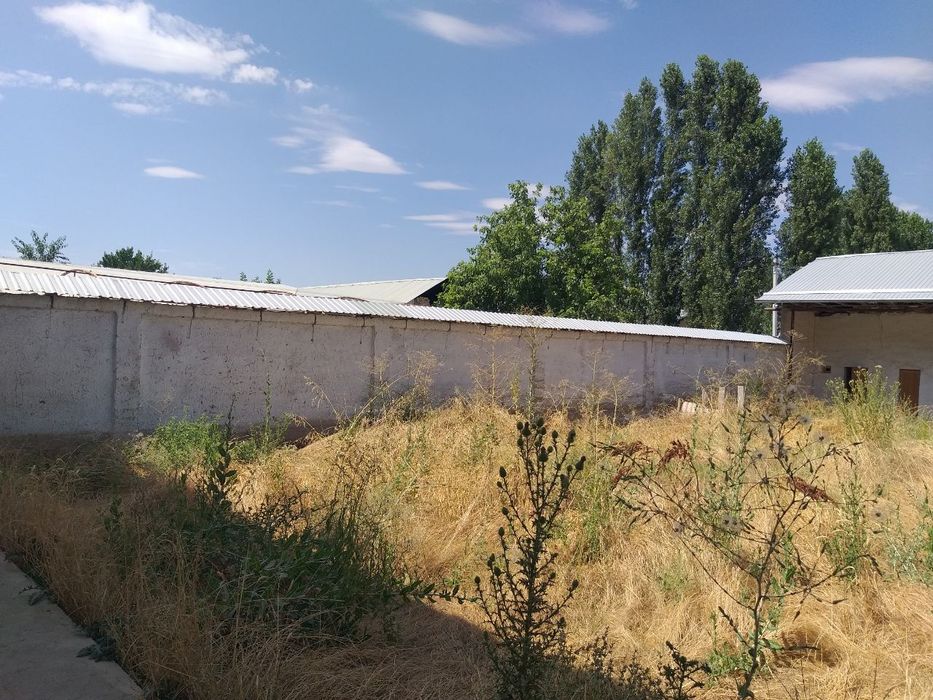 Дом Зангиота 8 сот,10 комнат