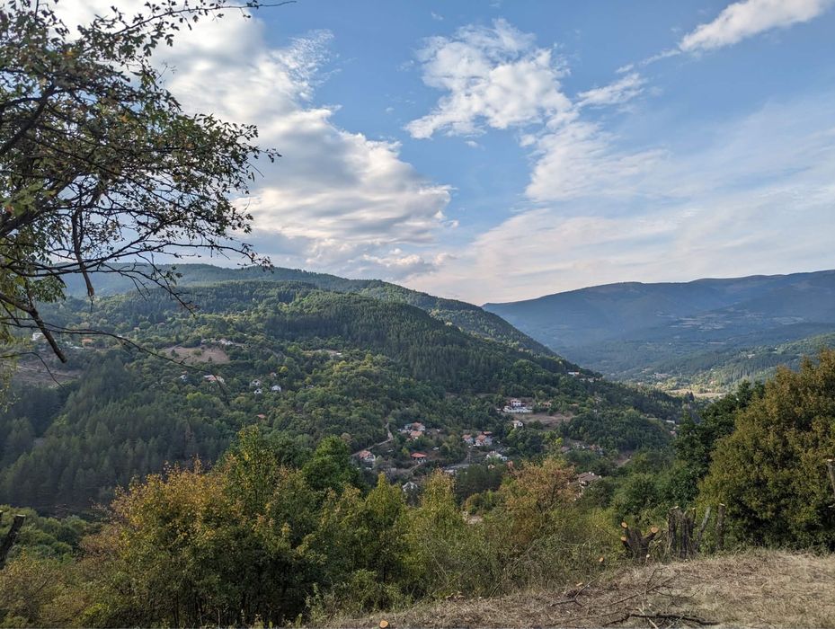 Поземлен имот с. Свидня