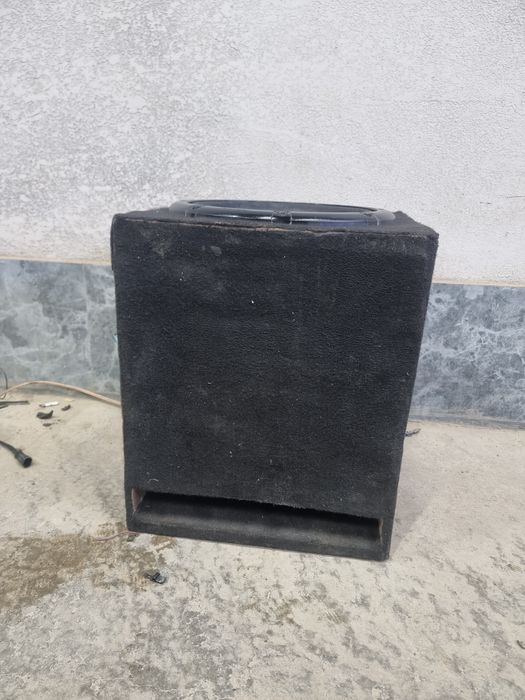 Pioner sambufer sotiladi