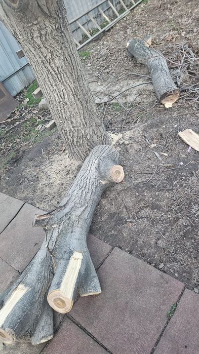 Дрова бесплатно  даром