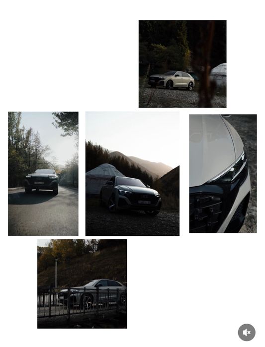 Видеограф Оператор Мобилограф