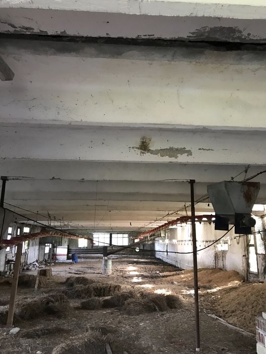 Дава се под наем Склад в Попово - 500 кв.м за 255 € - Снимка #1