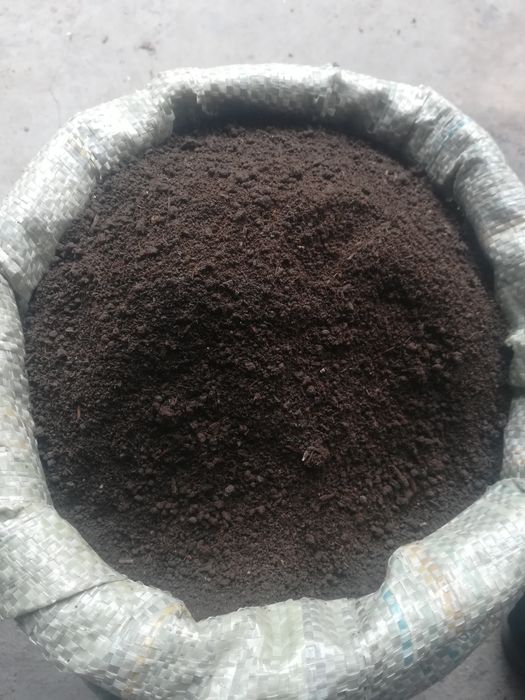 Биогомс сотилади абай