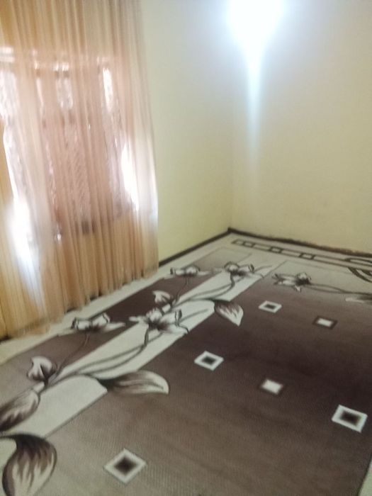Hovli sotiladi 7 sutix