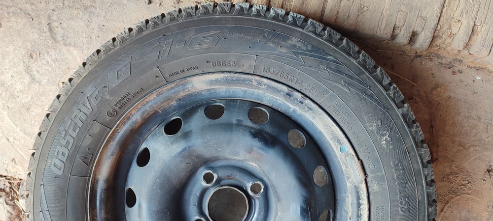 Toyo yapon qishki shinasi