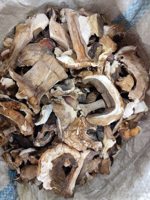 Грибы сухие ( БОРОВИК )