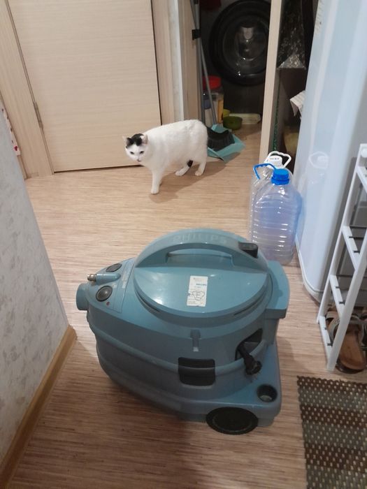 Моющий    пылесос