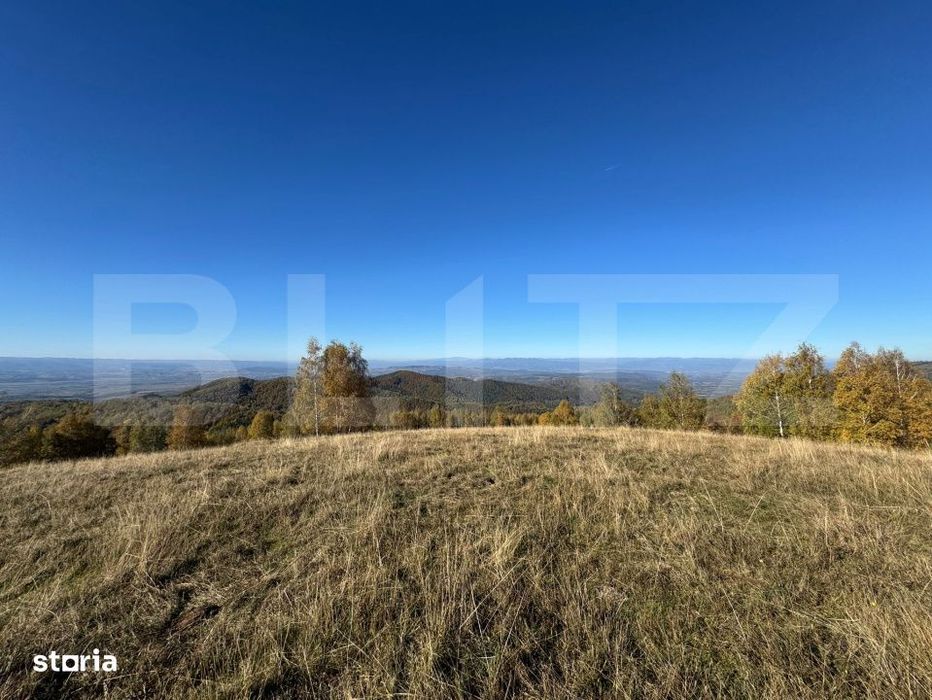 Teren extravilan 54.722 mp in Tarsa