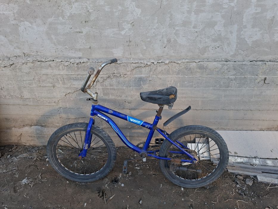 Великтер сатылады