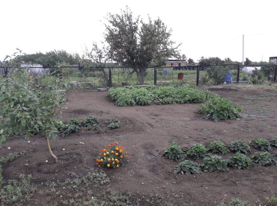 Продам дачу общество Союз