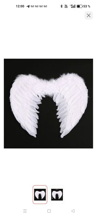 Продам крылья  ангела/птицы