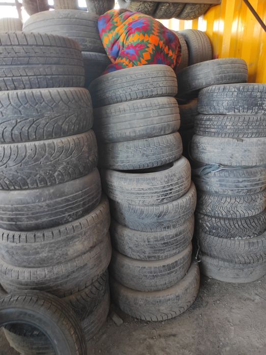 Бесплатно авто шины тегін