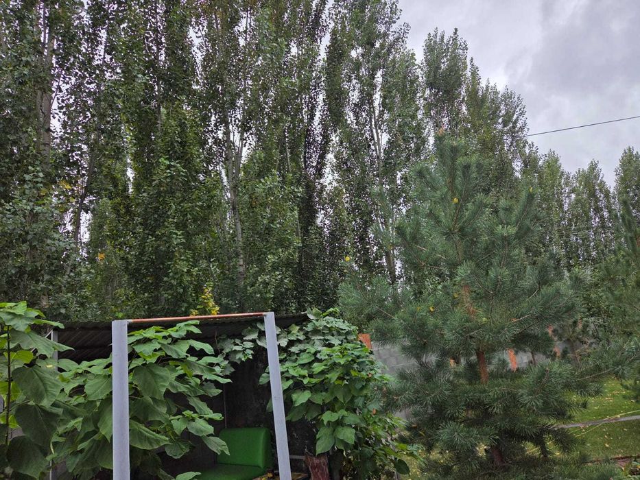 Дом в элитном районе