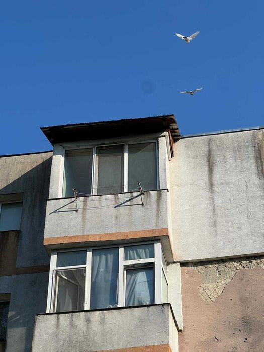 Apartament cu o camera, zona buna, SUPER INVESTITIE, NEGOCIABIL