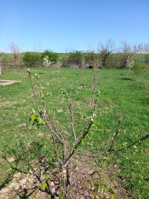 продаётся дачный участок 6 соток с кадастром за 12.000$